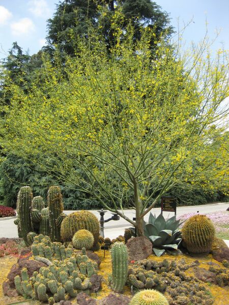 File:IMG 7389 hunt09jun.jpg