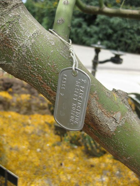 File:IMG 7390 hunt09jun.jpg