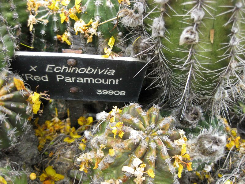 File:IMG 7392 hunt09jun.jpg