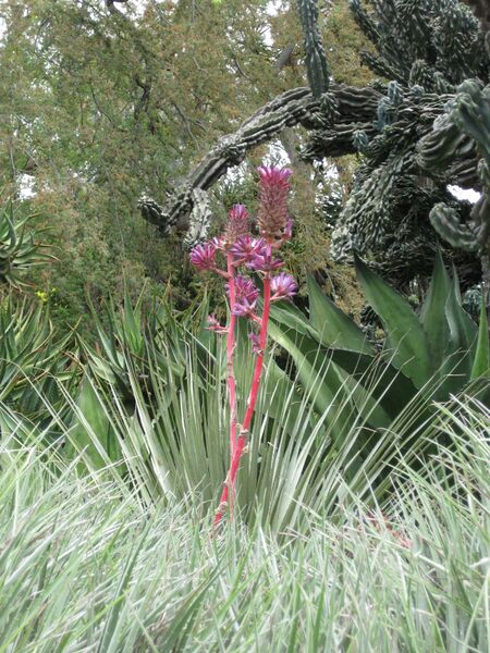 File:IMG 7400 hunt09jun.jpg