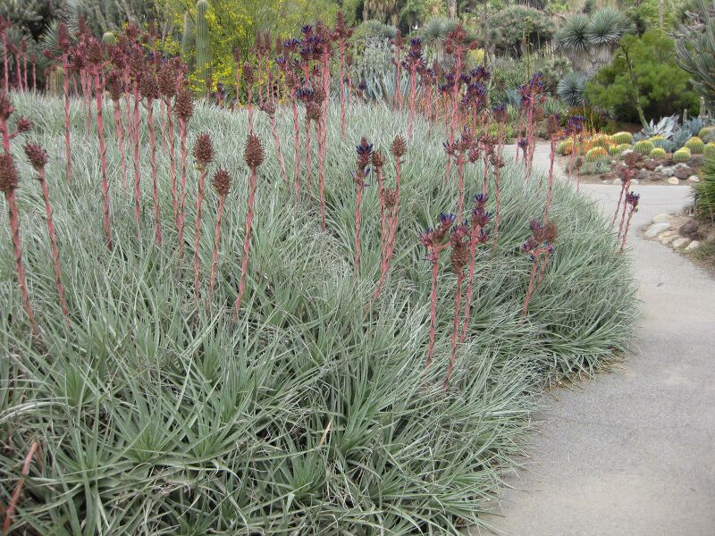 File:IMG 7402 hunt09jun.jpg