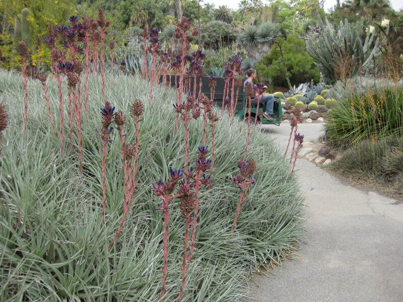 File:IMG 7403 hunt09jun.jpg