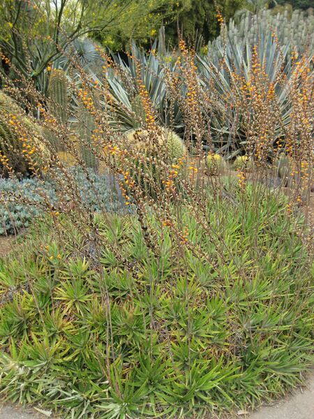 File:IMG 7407 hunt09jun.jpg