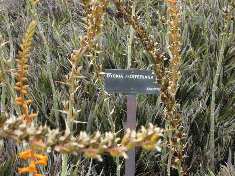 File:IMG 7412 hunt09jun.jpg