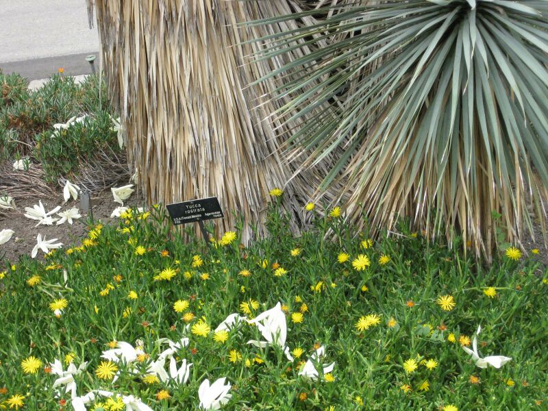 File:IMG 7421 hunt09jun.jpg