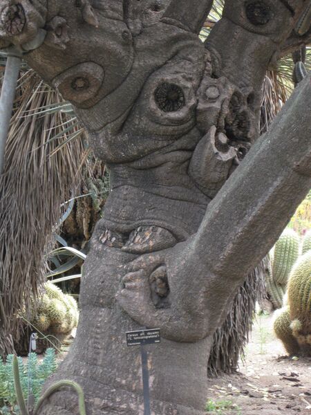 File:IMG 7423 hunt09jun.jpg