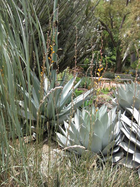 File:IMG 7431 hunt09jun.jpg