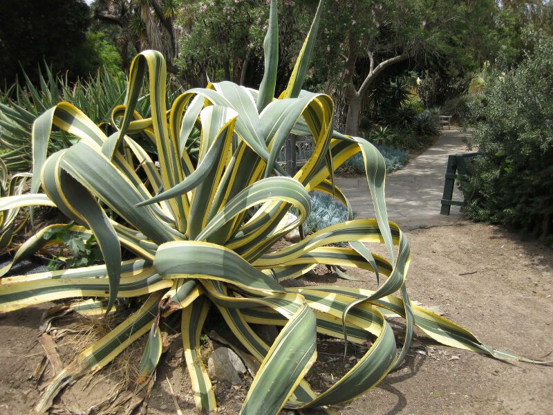 File:IMG 7441 hunt09jun.jpg