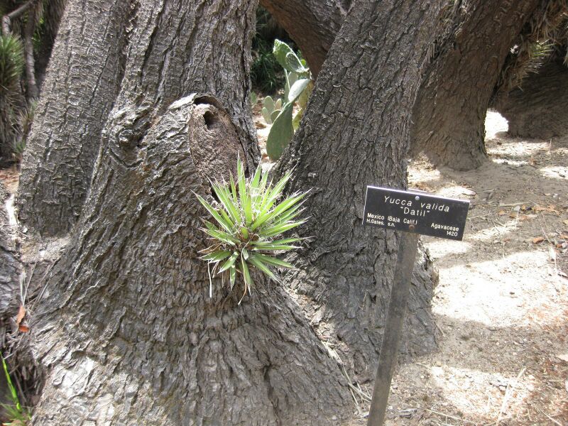 File:IMG 7445 hunt09jun.jpg