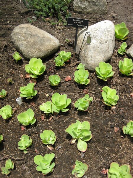 File:IMG 7447 hunt09jun.jpg