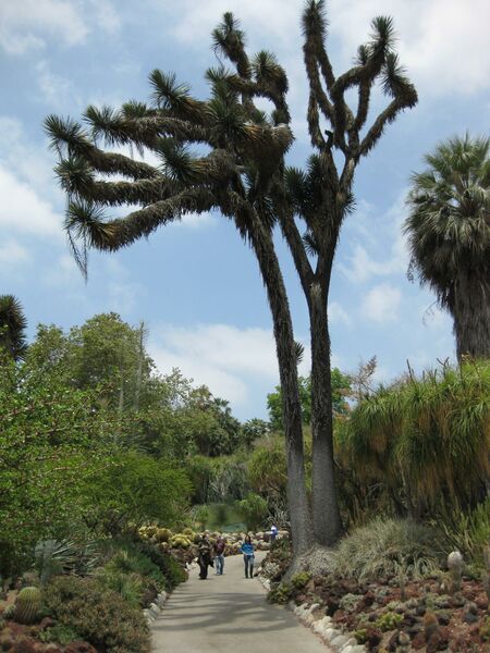 File:IMG 7458 hunt09jun.jpg