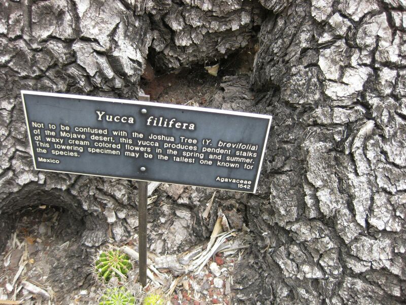 File:IMG 7460 hunt09jun.jpg