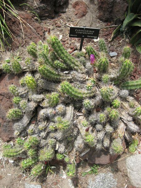 File:IMG 7461 hunt09jun.jpg