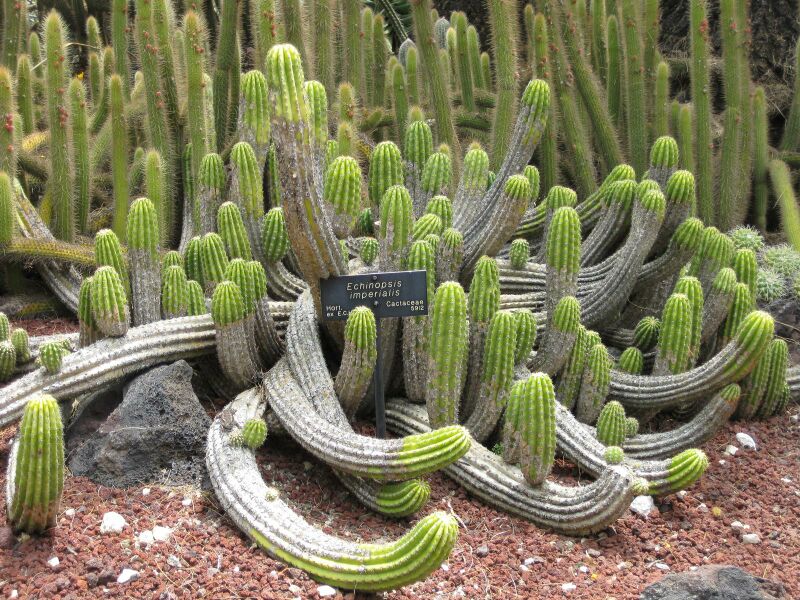 File:IMG 7469 hunt09jun.jpg