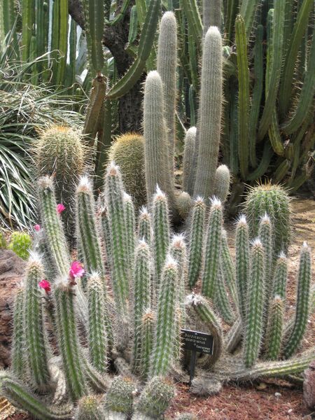 File:IMG 7471 hunt09jun.jpg