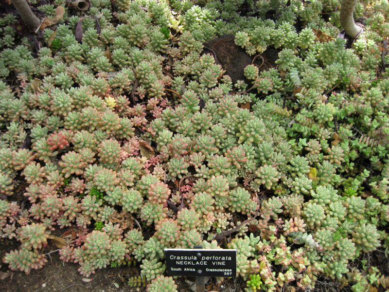 File:IMG 7478 hunt09jun.jpg