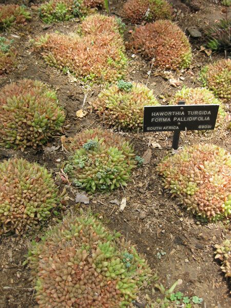 File:IMG 7483 hunt09jun.jpg