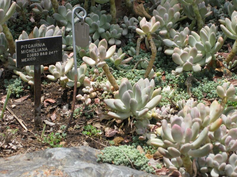 File:IMG 7484 hunt09jun.jpg