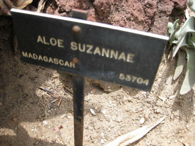 File:IMG 7487 hunt09jun.jpg