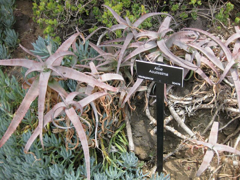 File:IMG 7488 hunt09jun.jpg