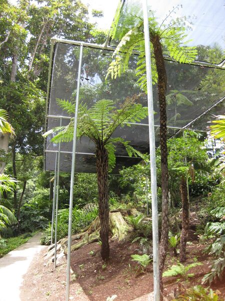 File:IMG 7504 hunt09jun.jpg