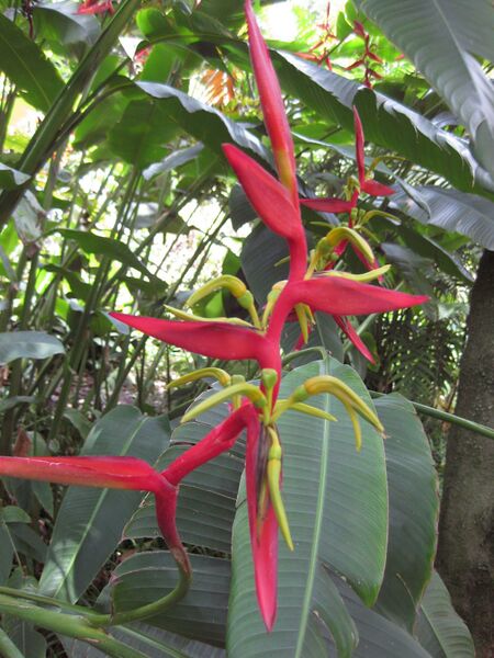 File:IMG 7508 hunt09jun.jpg