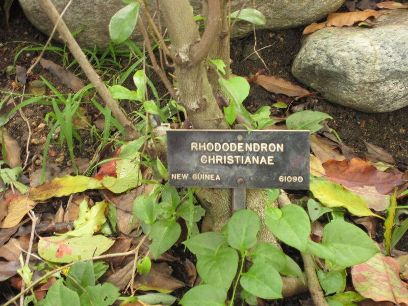 File:IMG 7512 hunt09jun.jpg