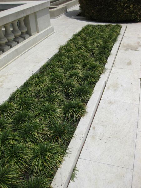 File:IMG 7523 hunt09jun.jpg