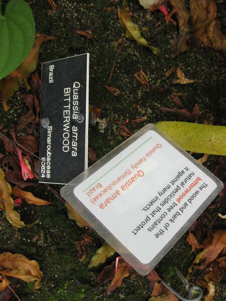 File:IMG 7529 hunt09jun.jpg