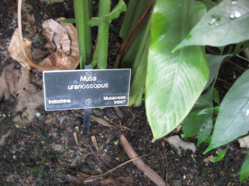 File:IMG 7564 hunt09jun.jpg