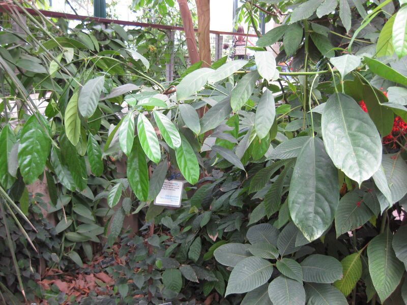 File:IMG 7583 hunt09jun.jpg