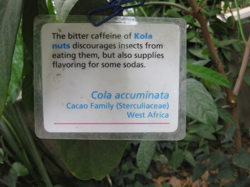 File:IMG 7584 hunt09jun.jpg