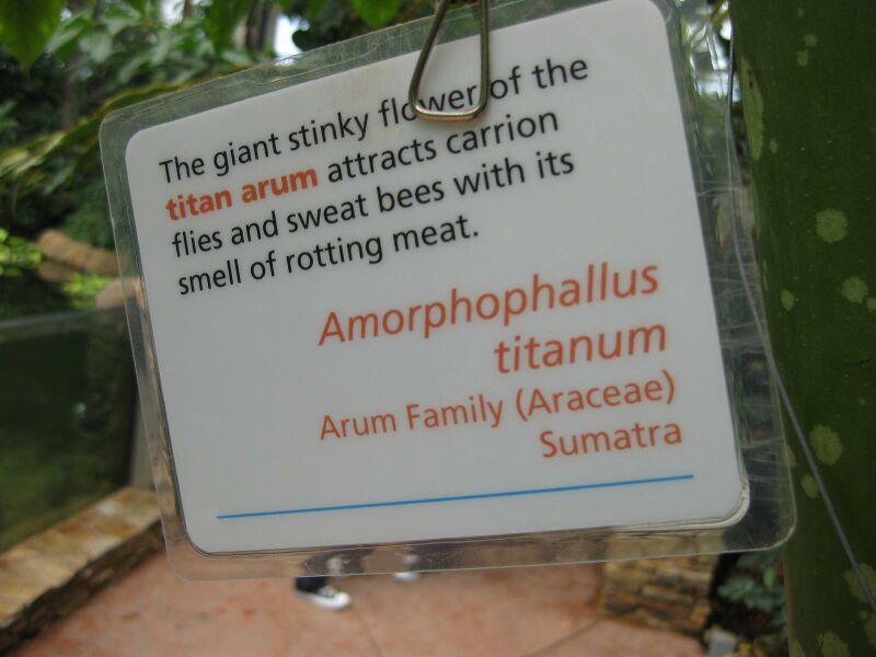 File:IMG 7586 hunt09jun.jpg