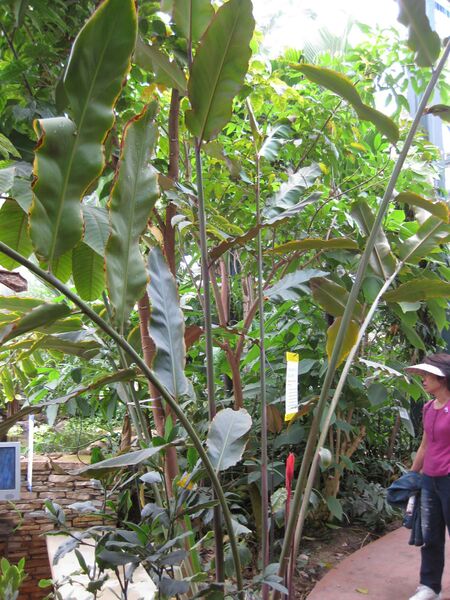 File:IMG 7593 hunt09jun.jpg