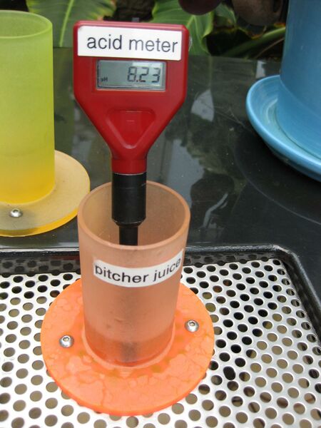 File:IMG 7598 hunt09jun.jpg