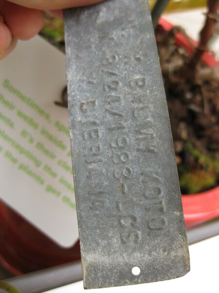 File:IMG 7604 hunt09jun.jpg