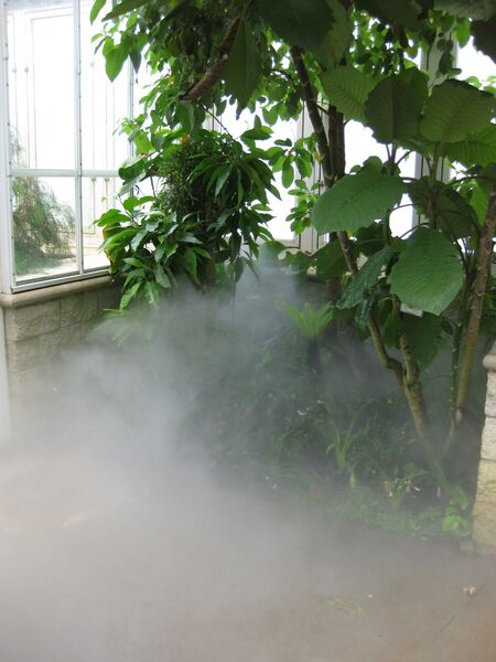 File:IMG 7606 hunt09jun.jpg