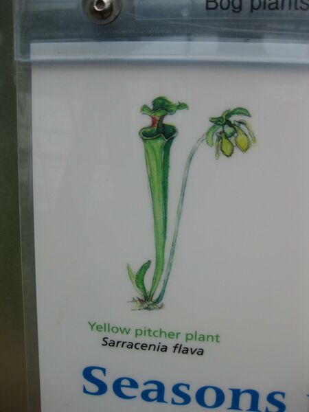 File:IMG 7617 hunt09jun.jpg