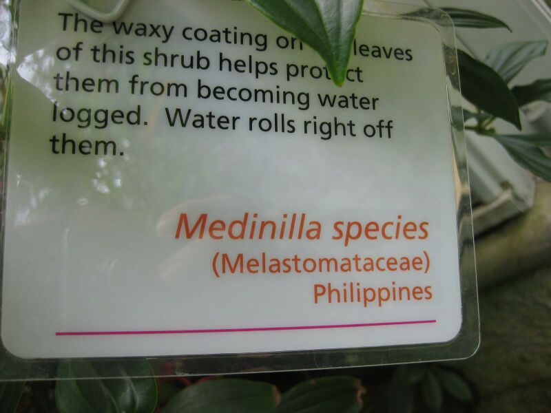 File:IMG 7622 hunt09jun.jpg