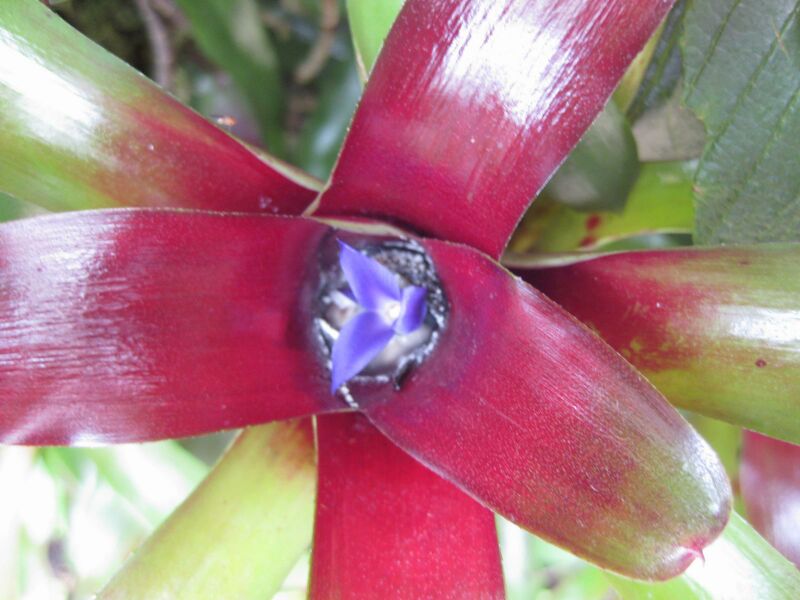 File:IMG 7623 hunt09jun.jpg