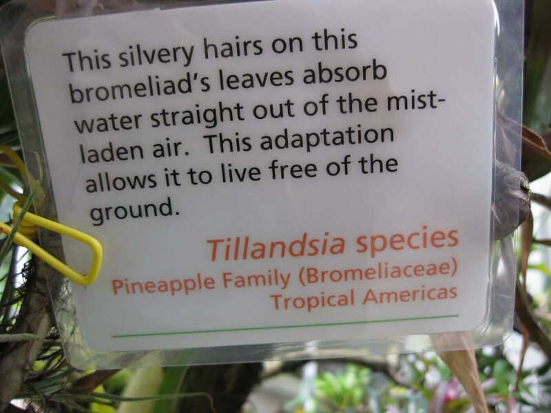 File:IMG 7626 hunt09jun.jpg