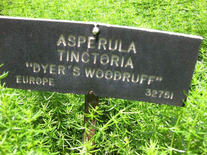 File:IMG 7641 hunt09jun.jpg