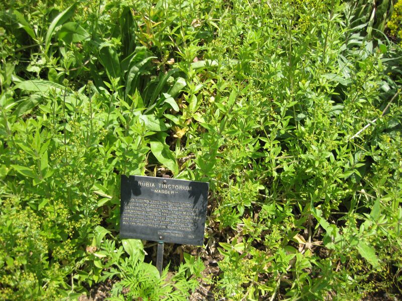 File:IMG 7645 hunt09jun.jpg