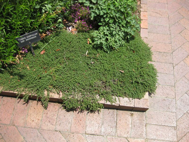 File:IMG 7693 hunt09jun.jpg