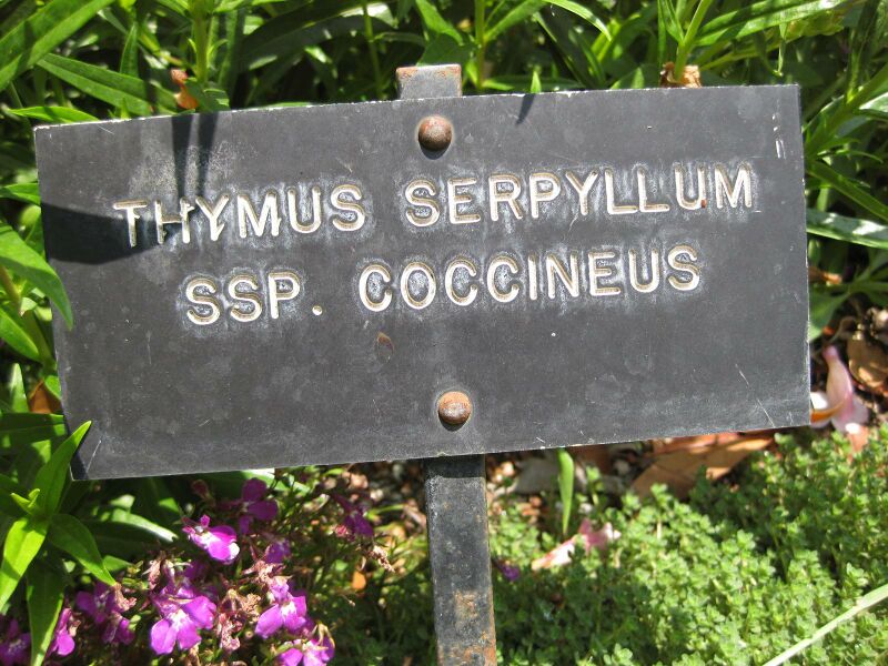 File:IMG 7695 hunt09jun.jpg