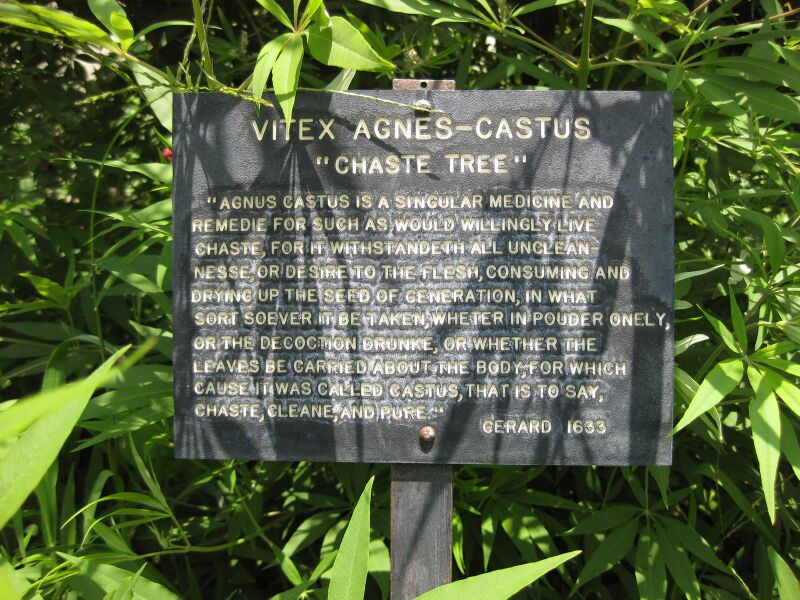 File:IMG 7697 hunt09jun.jpg