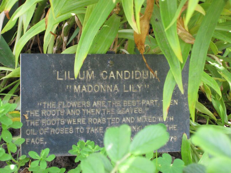 File:IMG 7699 hunt09jun.jpg