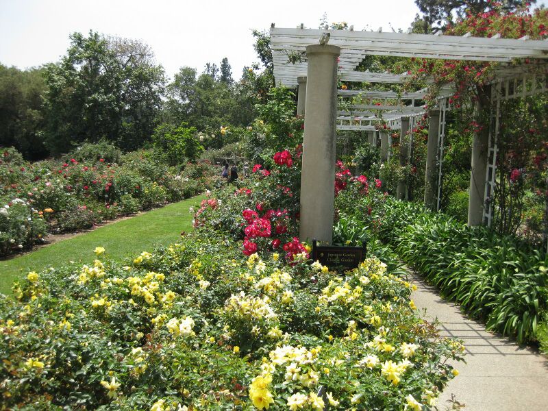 File:IMG 7700 hunt09jun.jpg