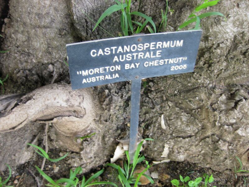 File:IMG 7711 hunt09jun.jpg