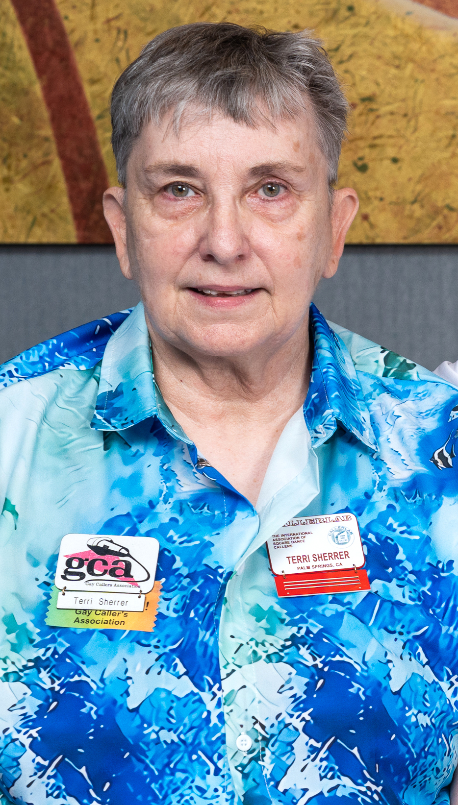 Terri Sherrer - IAGSDC History